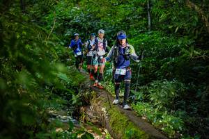 BIB: 
                            <button type="button" onclick="openModal(18923272)" class="btn btn-primary btn-sm float-right btn-popup" data-toggle="modal" data-target=".modal-high-quality">
                        <i class="fas fa-shopping-cart"></i> Add to Cart
                    </button>
                                            <button type="button" onclick="isThisMe(18923272, true)" class="btn btn-success btn-sm float-right btn-popup btn-isme hidden" data-toggle="tooltip" data-placement="bottom" title="นี่คือรูปของคุณใช่ไหม คลิกที่นี่เพื่อเอาเข้าอัลบั้ม">
                        <i class="fas fa-plus"></i> Add to album
                    </button>
                    <button type="button" onclick="isThisMe(18923272, false)" class="btn btn-warning btn-sm float-right btn-popup btn-isnotme hidden">
                        <i class="fas fa-ban"></i> Remove from album
                    </button>